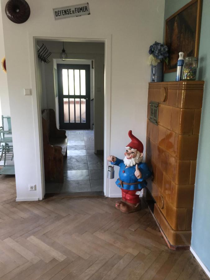 Вілла Chalet Montsegur Кольмар Екстер'єр фото